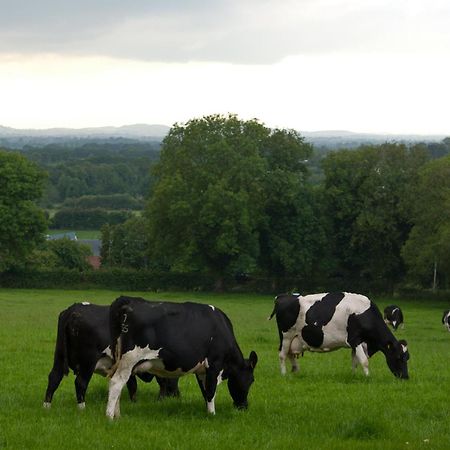 Ballindrum Farm B&B Athy Exterior foto