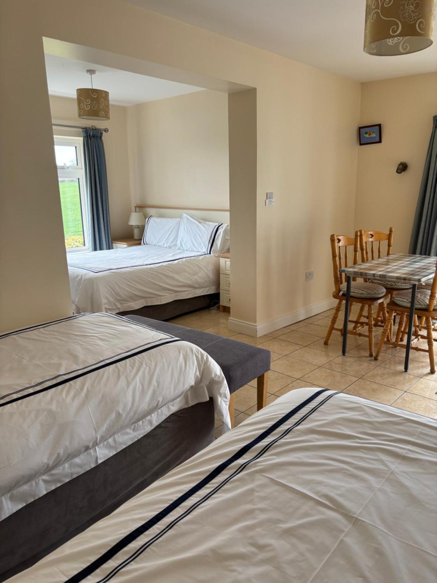 Ballindrum Farm B&B Athy Exterior foto